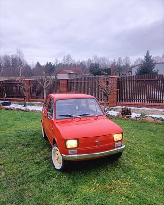 Fiat 126 cena 11000 przebieg: 999, rok produkcji 1975 z Kielce małe 191